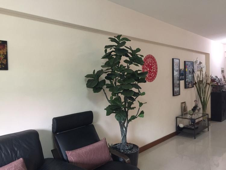 Blk 648 Punggol Central (Punggol), HDB 5 Rooms #142108242